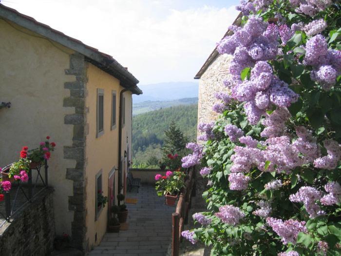 Borgo Tramonte Bed and Breakfast Pratovecchio Exterior foto