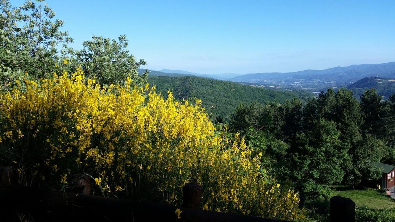 Borgo Tramonte Bed and Breakfast Pratovecchio Exterior foto